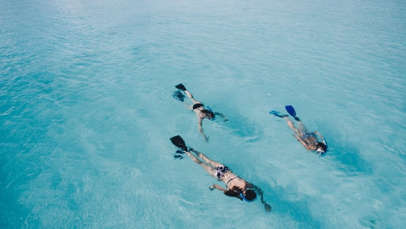 snorkeling for beginners