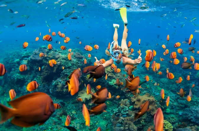 best snorkeling spots Australia