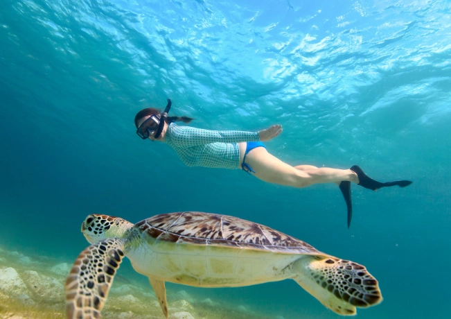 snorkeling tours near me