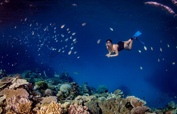 Great Barrier Reef snorkeling