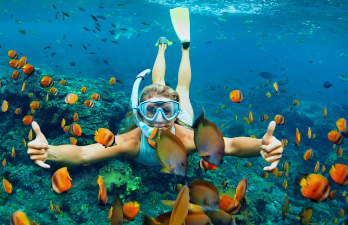 best snorkeling day trips