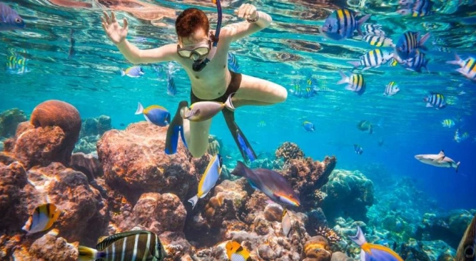 snorkeling for non-swimmers