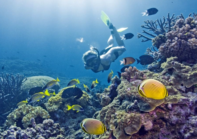 snorkeling tours Australia