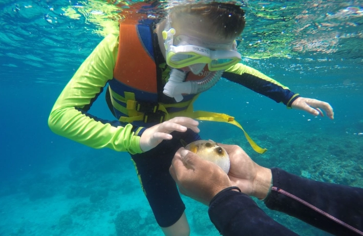 snorkeling safety guide
