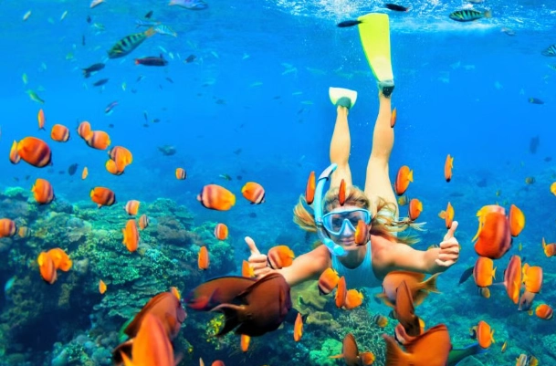 Hawaii snorkeling hazards