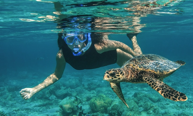 Maldives snorkeling packages