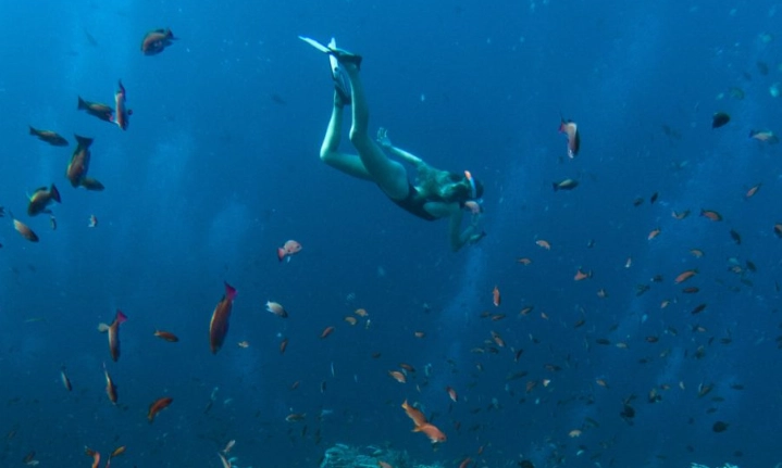 snorkeling in indonesia for beginners