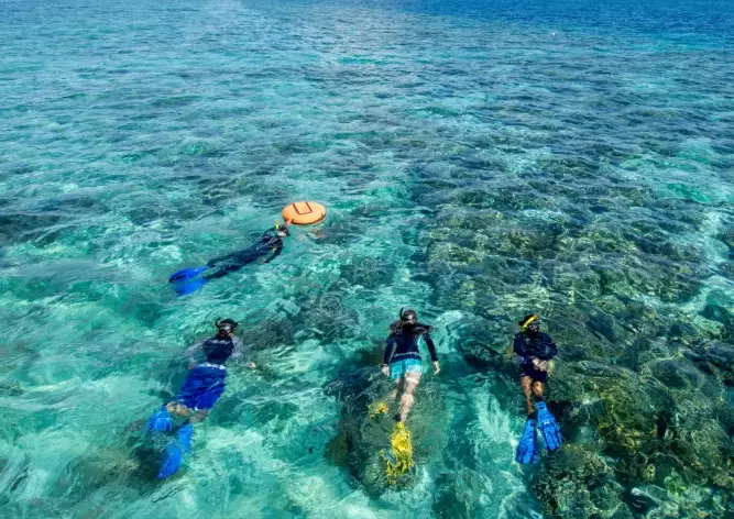 snorkeling in indonesia for beginners