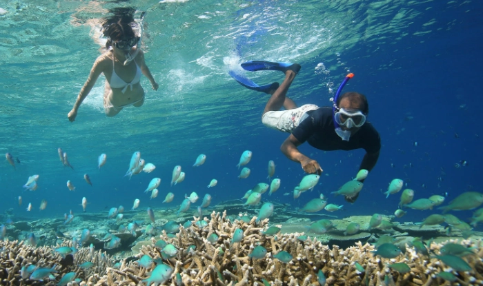 snorkeling maldives dangerous