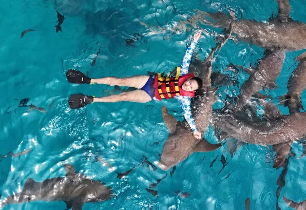 snorkeling with sharks Maldives