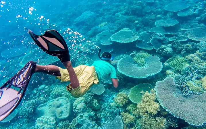 how to snorkel for beginners