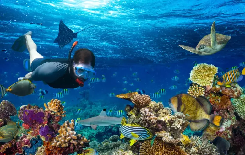 maldives snorkeling safety