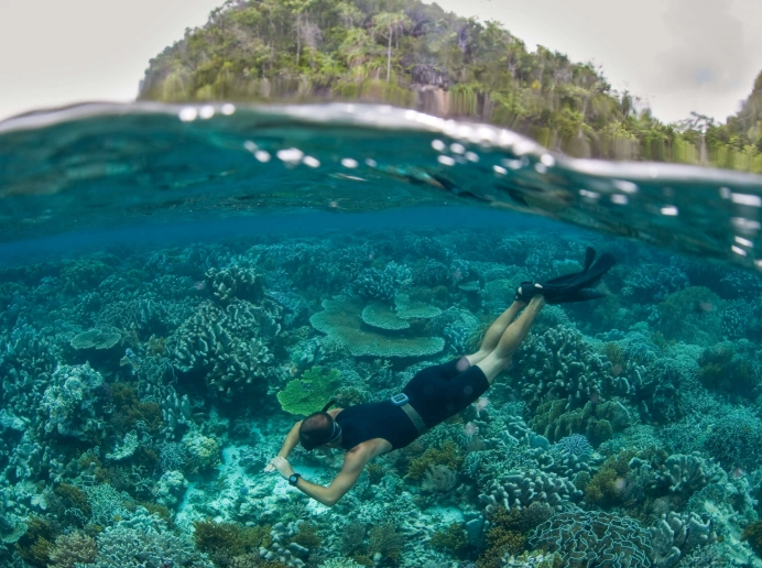 snorkeling in indonesia for beginners