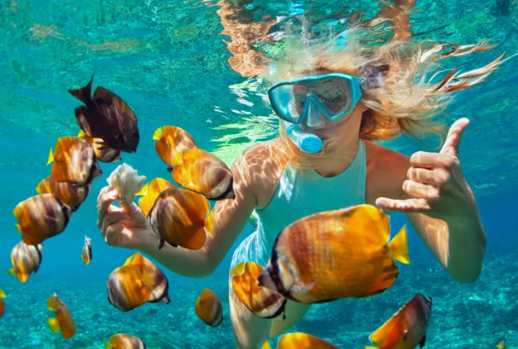 beginner snorkeling spots indonesia