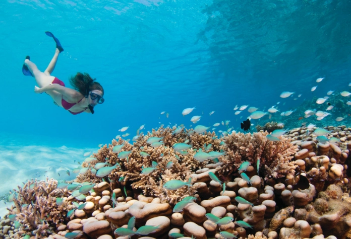 Maldives snorkeling for beginners