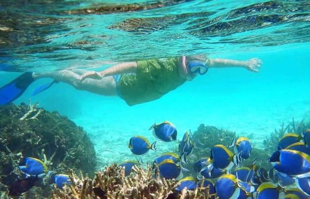 best snorkeling spots Maldives