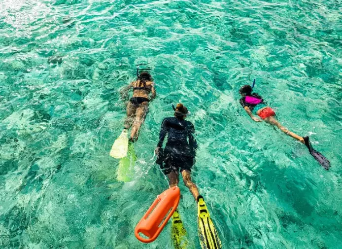 Maldives snorkeling for beginners