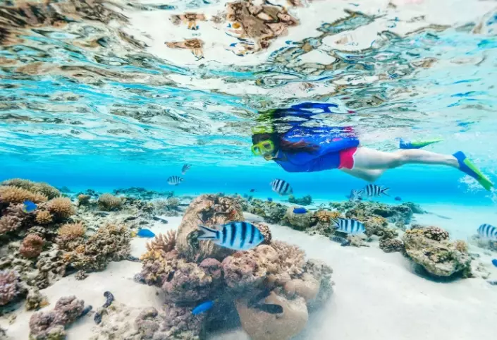 best snorkeling spots Maldives