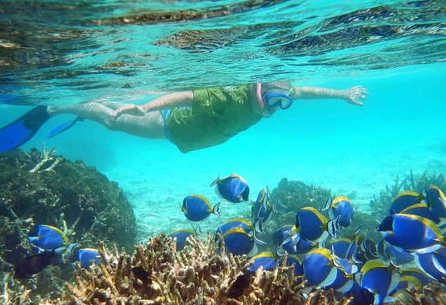snorkeling maldives dangerous