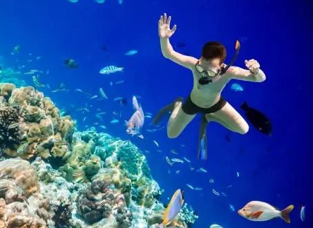 cost to snorkel in Maldives