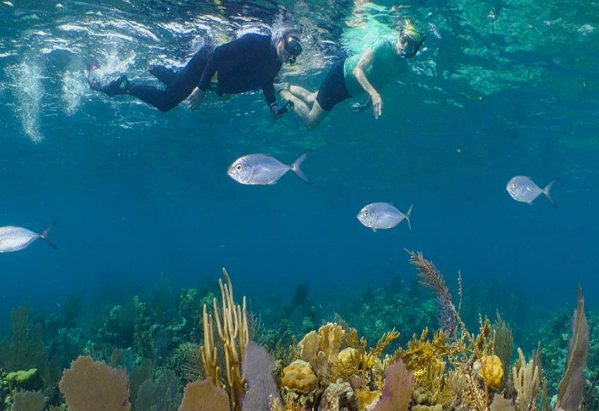 best snorkeling wetsuit