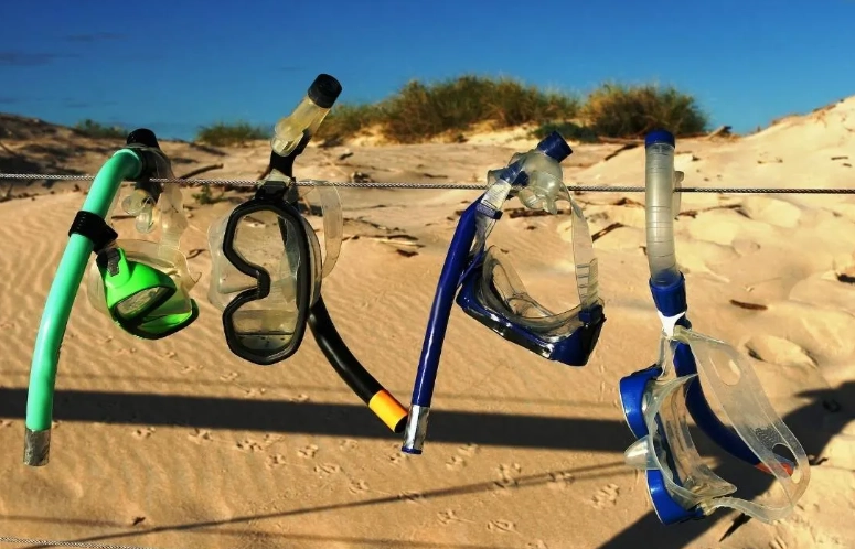 snorkeling gear care