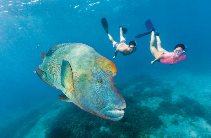 best snorkeling spots Great Barrier Reef