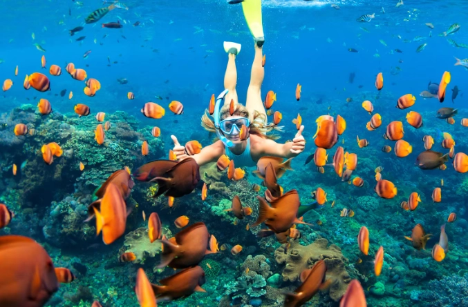 best snorkeling spots Thailand