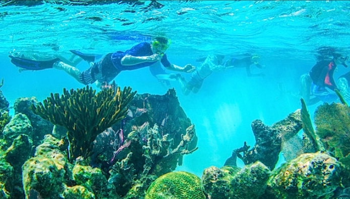 snorkeling Belize