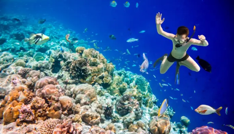 maldives snorkeling guide