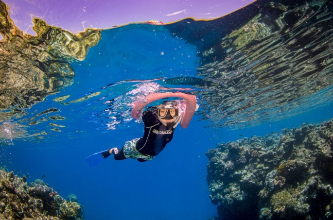 best snorkeling spots Great Barrier Reef