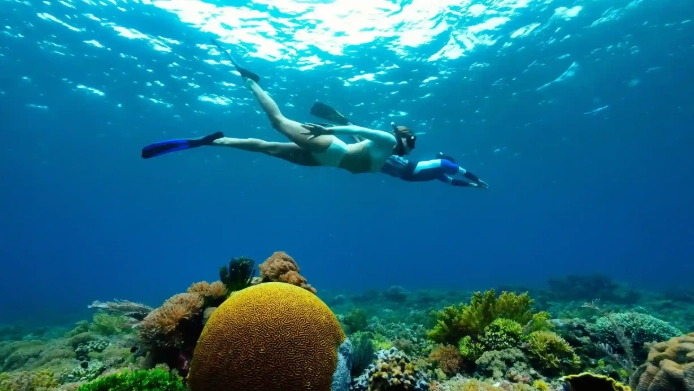 snorkeling guide Indonesia snorkeling guide Indonesia