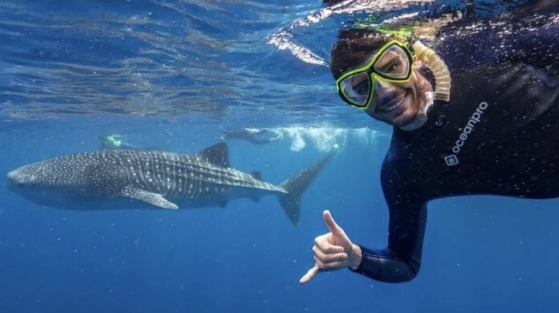 whale shark snorkeling tours