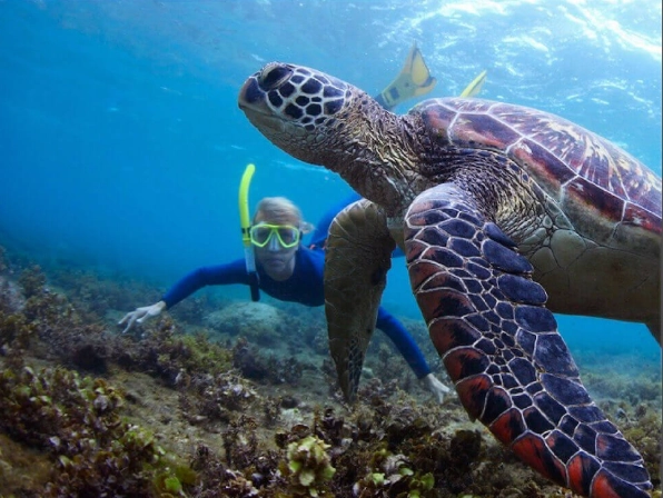 snorkeling in Hawaii