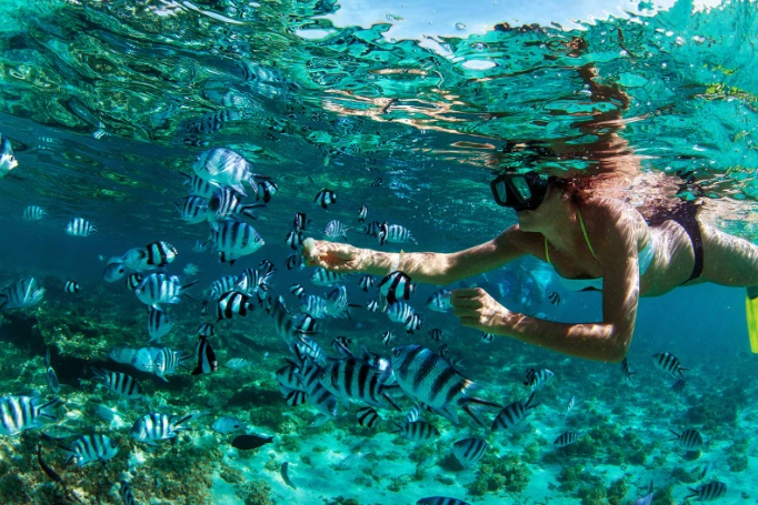 snorkeling season guide