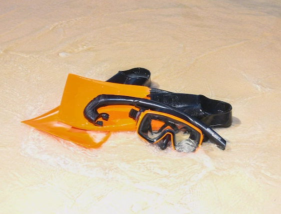 best snorkel gear for cruise