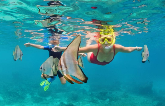 cruise excursion snorkeling equipment