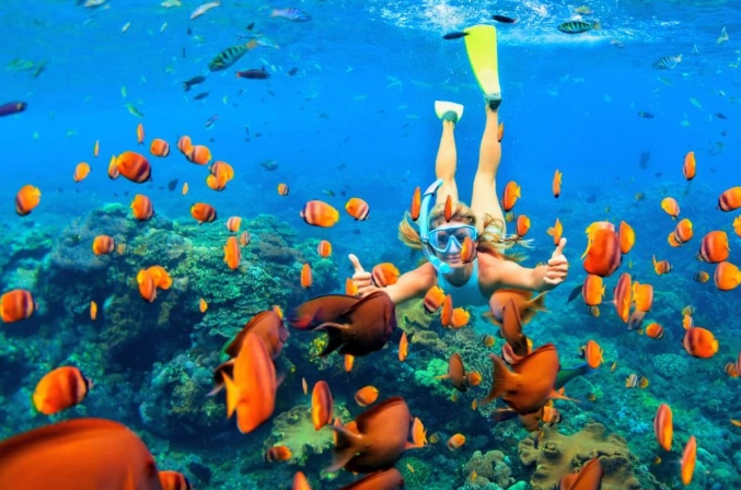 Hawaii snorkeling tips