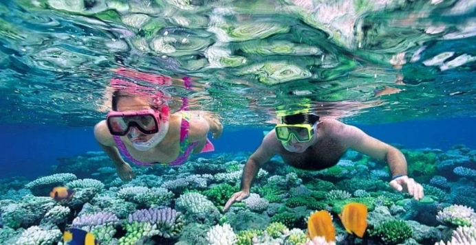 Thailand snorkeling tours
