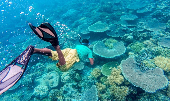 Indonesia snorkeling spots Indonesia snorkeling spots