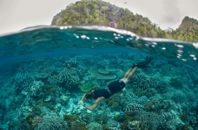 best snorkeling in Indonesia best snorkeling in Indonesia