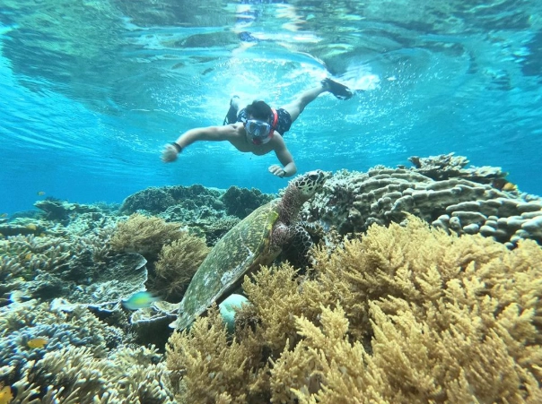 best snorkeling in Indonesia best snorkeling in Indonesia