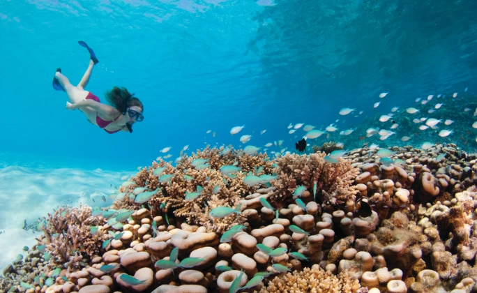 snorkeling in maldives