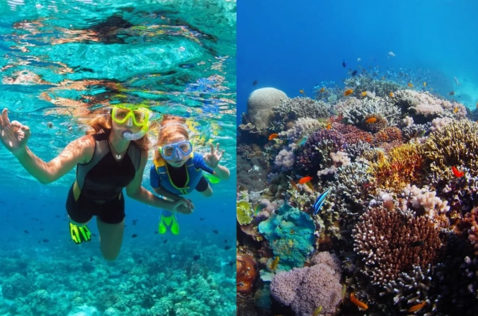 snorkeling tours Philippines
