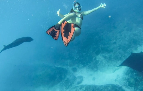 travel snorkel fins