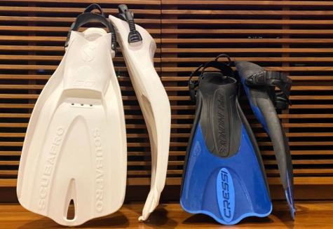 travel snorkel fins