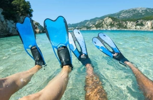 travel snorkel fins