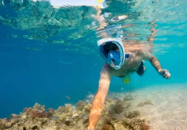 how to snorkel