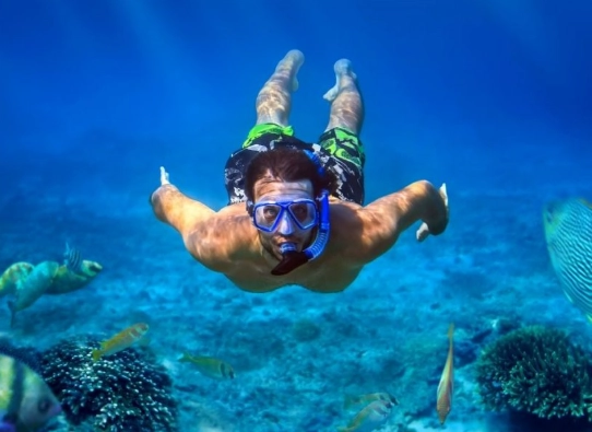 snorkeling trips