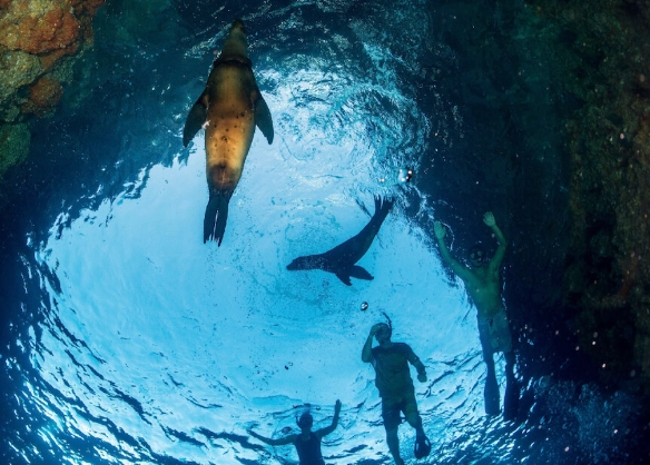 top snorkeling destinations